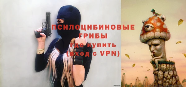 кокс Бородино