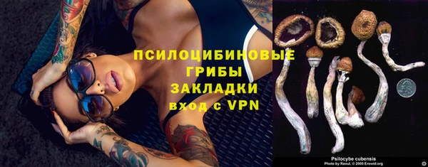 кокс Бородино