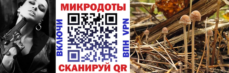Псилоцибиновые грибы прущие грибы цены наркотик Подольск